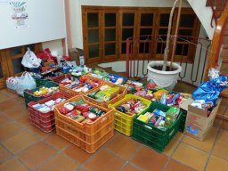 ALIMENTOS CANTA JUEGOS 29-12-2013
